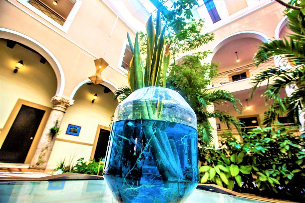 Holiday Inn Express Merida Centro By Ihg Dış mekan fotoğraf